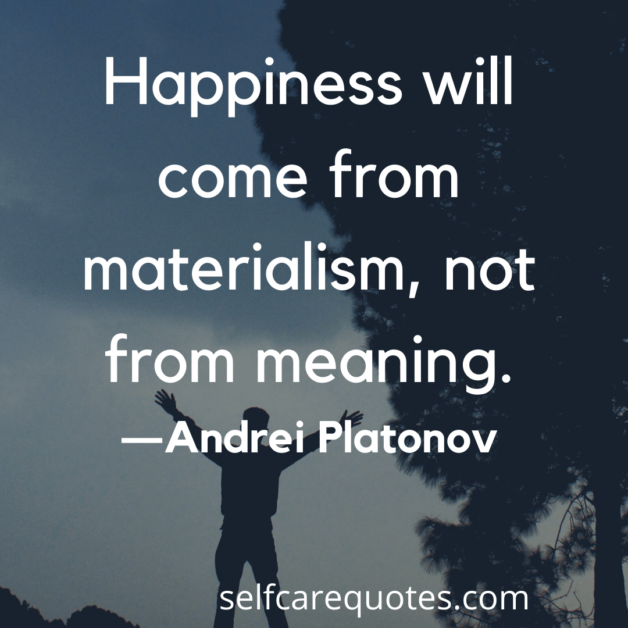 Happiness will come from materialism, not from meaning. -Andrei Platonov