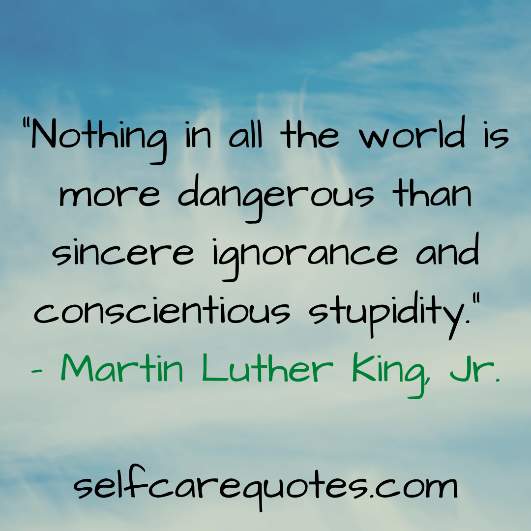 “Nothing in all the world is more dangerous than sincere ignorance and conscientious stupidity.” – Martin Luther King, Jr.