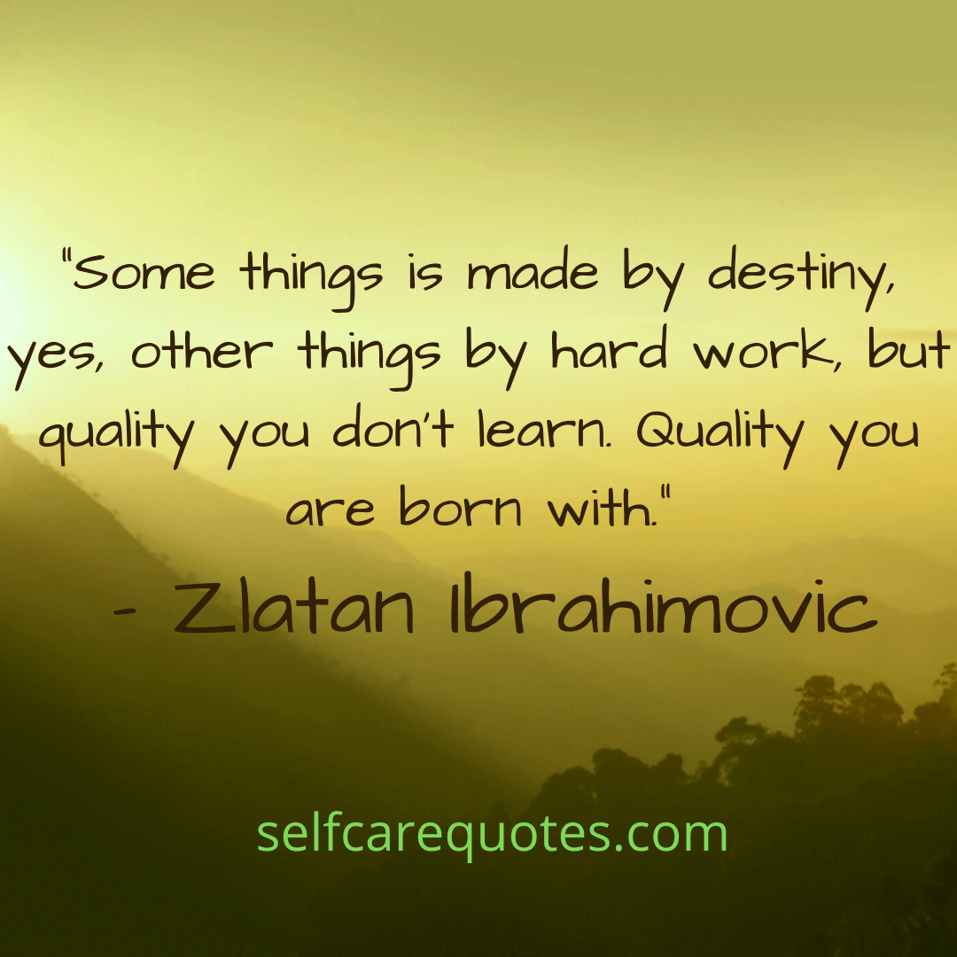 Some things is made by destiny yes, other things by hard work, but quality you dont learn. Quality you are born with.-destiny quotes