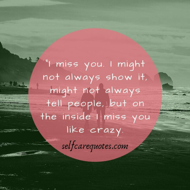 Quotes missing sum1 Missing You