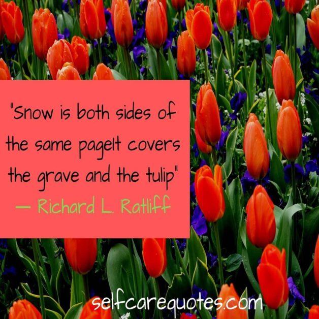 Snow is both sides of the same page It covers the grave and the tulip -Richard L. Ratliff