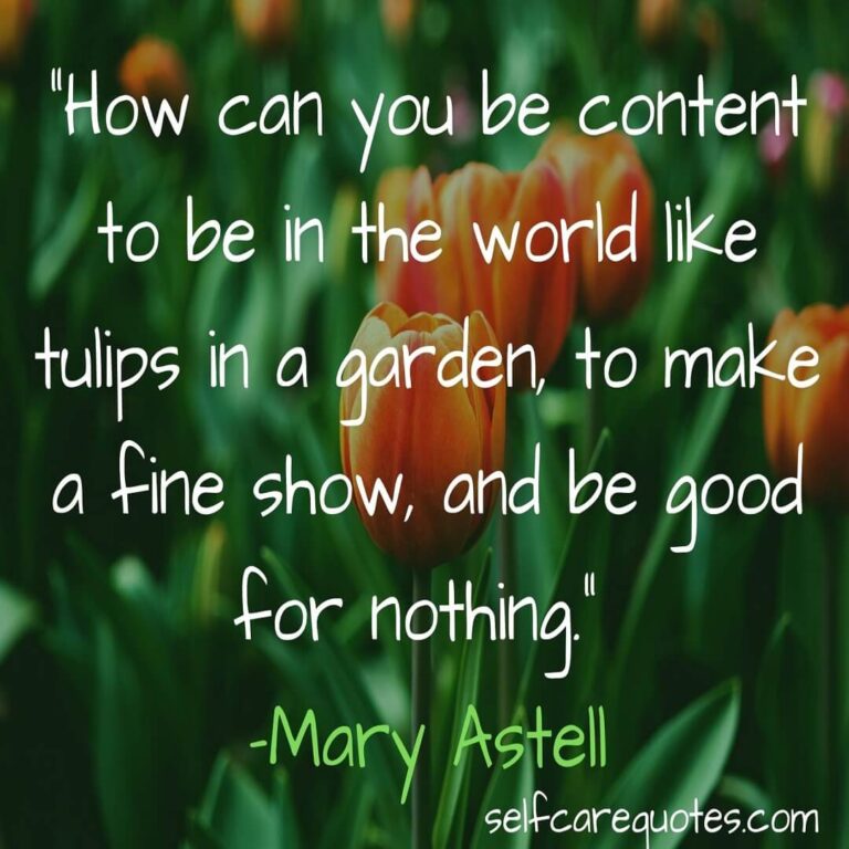 20 Top Popular Tulip Quotes - Boost your Feeling