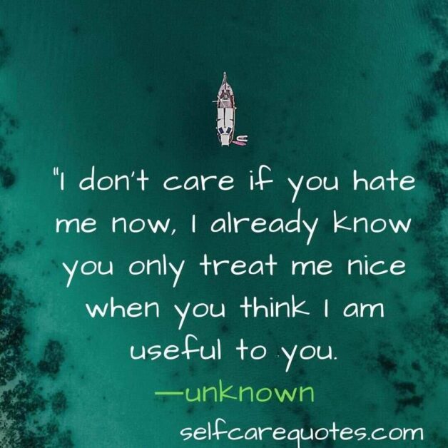 I do not care if you hate me now, I already know you only treat me nice when you think I am useful to you.-unknown