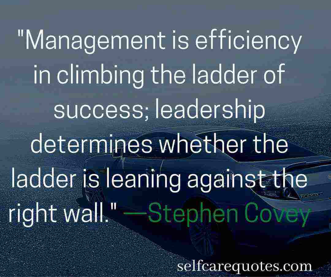 Management is efficiency in climbing the ladder of success; leadership determines whether the ladder is leaning against the right wall. —Stephen Covey