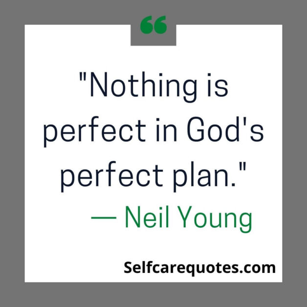 Nothing is perfect in God's perfect plan.— Neil Young