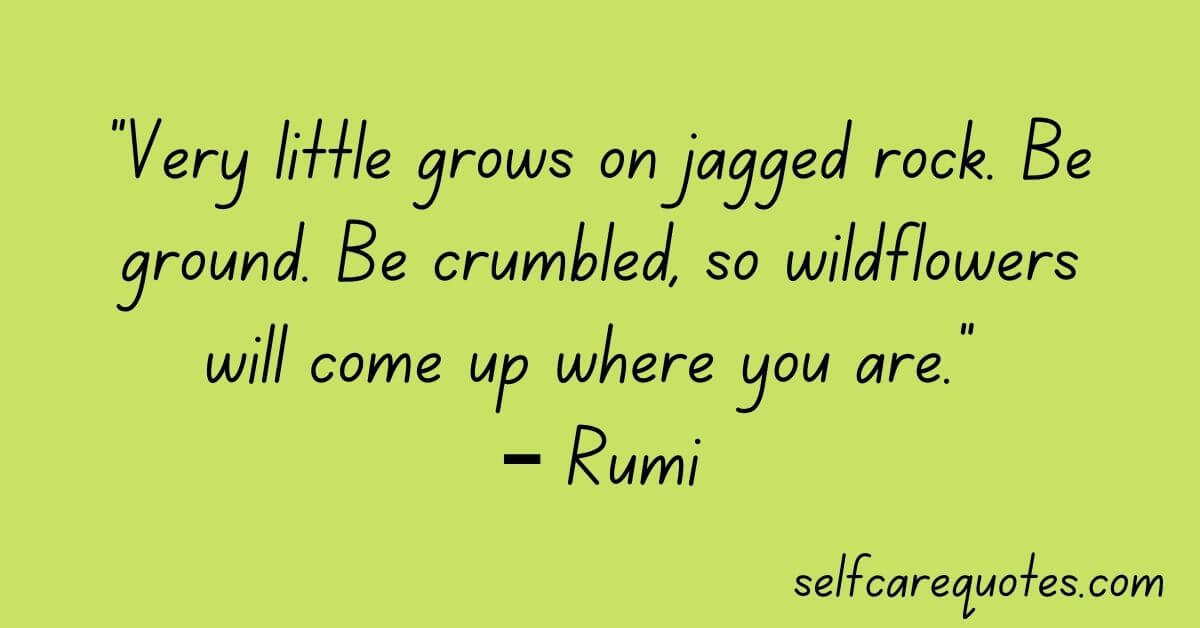 “Very little grows on jagged rock. Be ground. Be crumbled, so wildflowers will come up where you are.” – Rumi