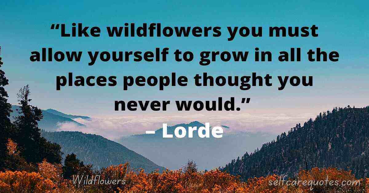 Wildflower Quotes