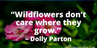 Wildflowers dont care where they grow. – Dolly Parton