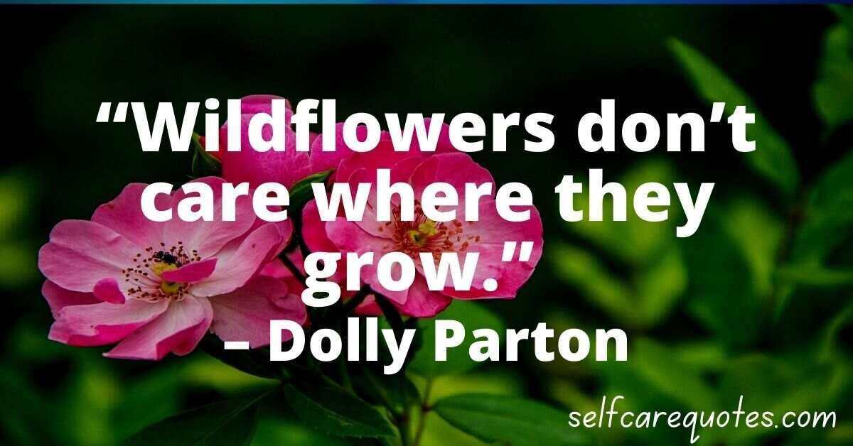 Wildflowers dont care where they grow. – Dolly Parton