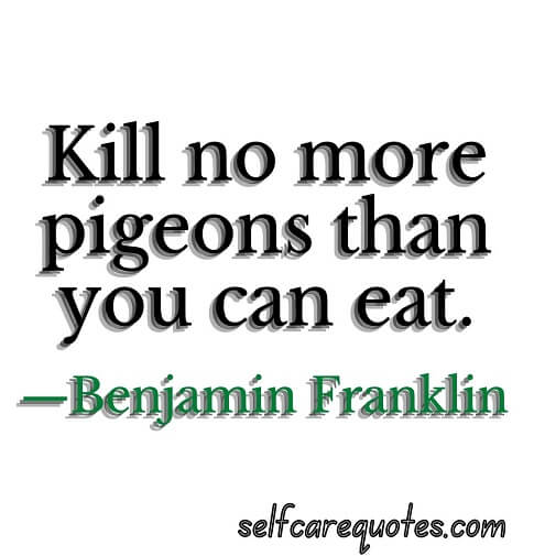 Kill no more pigeons than you can eat.—Benjamin Franklin