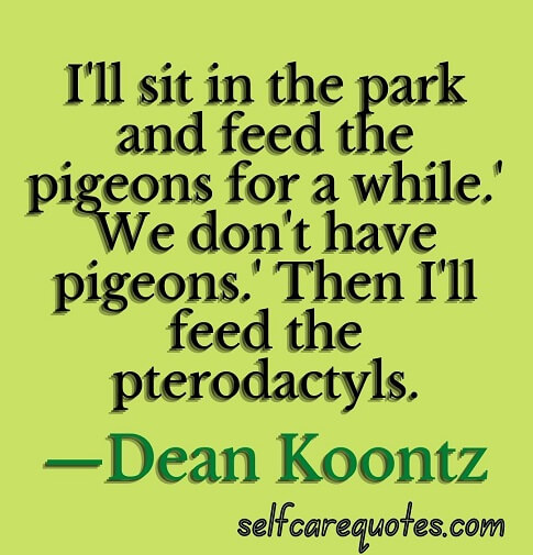 Positive Pigeon Quotes