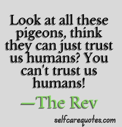 Top 50 Pigeon Quotes