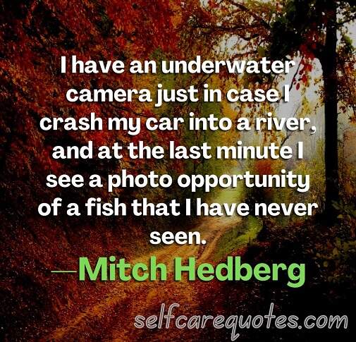 I have an underwater camera just in case I crash my car into a river, and at the last minute I see a photo opportunity of a fish that I have never seen.—Mitch Hedberg