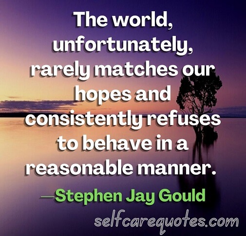 The world, unfortunately, rarely matches our hopes and consistently refuses to behave in a reasonable manner. —Stephen Jay Gould