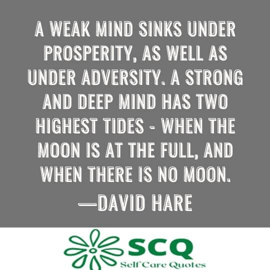 A weak mind sinks under prosperity, as well as under adversity. A strong and deep mind has two highest tides - when the moon is at the full, and when there is no moon.—David Hare