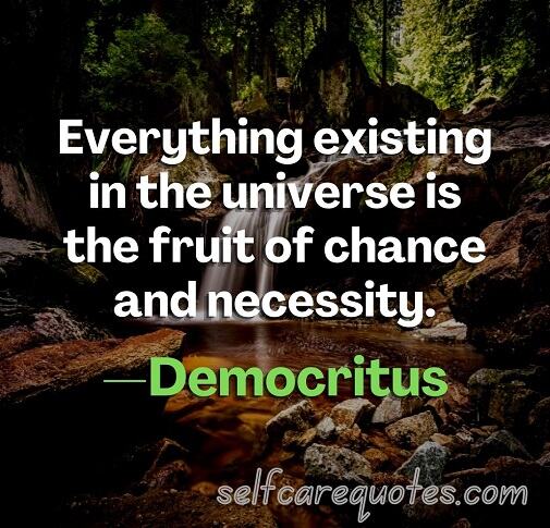 Everything existing in the universe is the fruit of chance and necessity.—Democritus