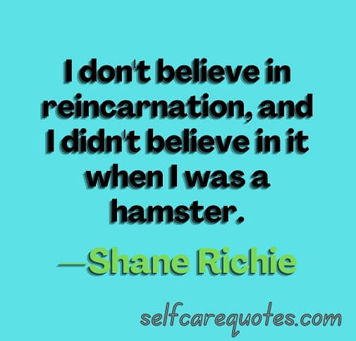 I don't believe in reincarnation, and I didn't believe in it when I was a hamster.—Shane Richie