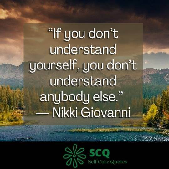 “If you don’t understand yourself, you don’t understand anybody else.” ― Nikki Giovanni