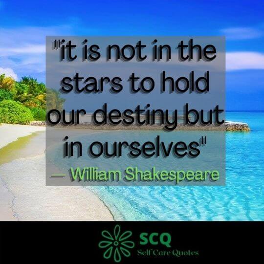 it is not in the stars to hold our destiny but in ourselves — William Shakespeare