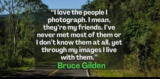 Still Life Photography Quotes