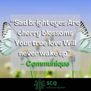 cherry blossom quotes sayings
