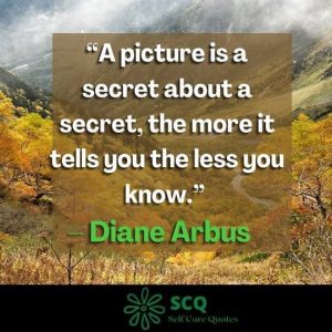  still life photography quotes images