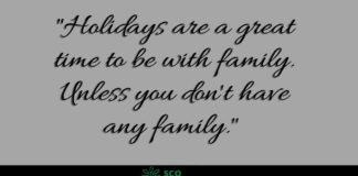 Quotes About Holidays Without Family