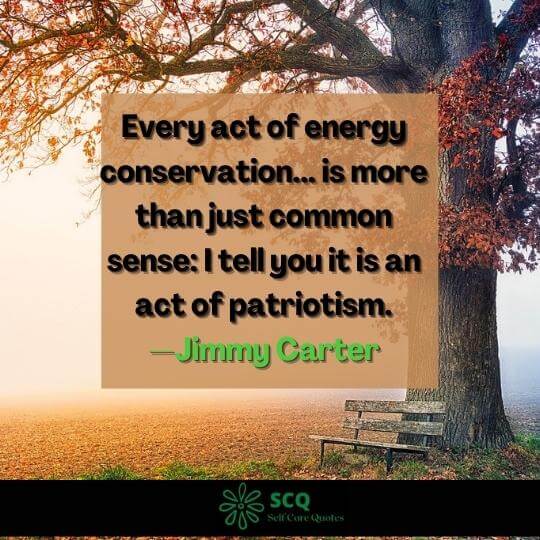 energy conservation quotes funny