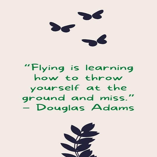 fly high quotes image
