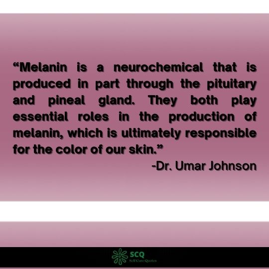 quotes about melanin beauty