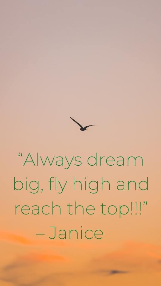 short quotes about flying