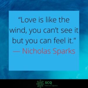 “Love is like the wind, you can’t see it but you can feel it.” — Nicholas Sparks