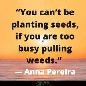 bible quotes about planting seeds
