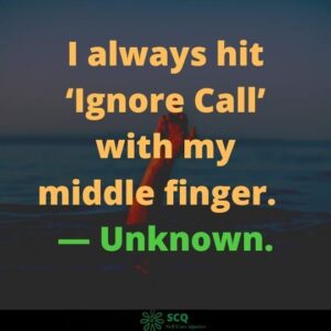 funny middle finger quotes