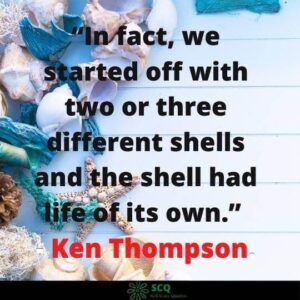 funny seashell quotes