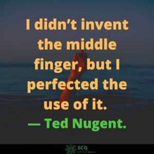 middle finger quotes and sayings
