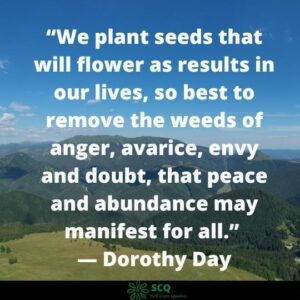 quotes about seeds and life
