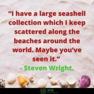 seashell quotes goodreads