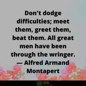 Don't dodge difficulties; meet them, greet them, beat them. All great men have been through the wringer