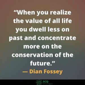 When you realize the value of all life you dwell less on past and concentrate more on the conservation of the future
