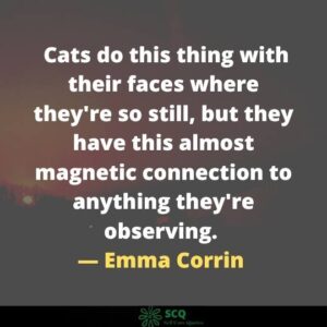 magnetic energy quotes